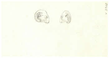 Visualizza l'immagine "FD D 748 v."